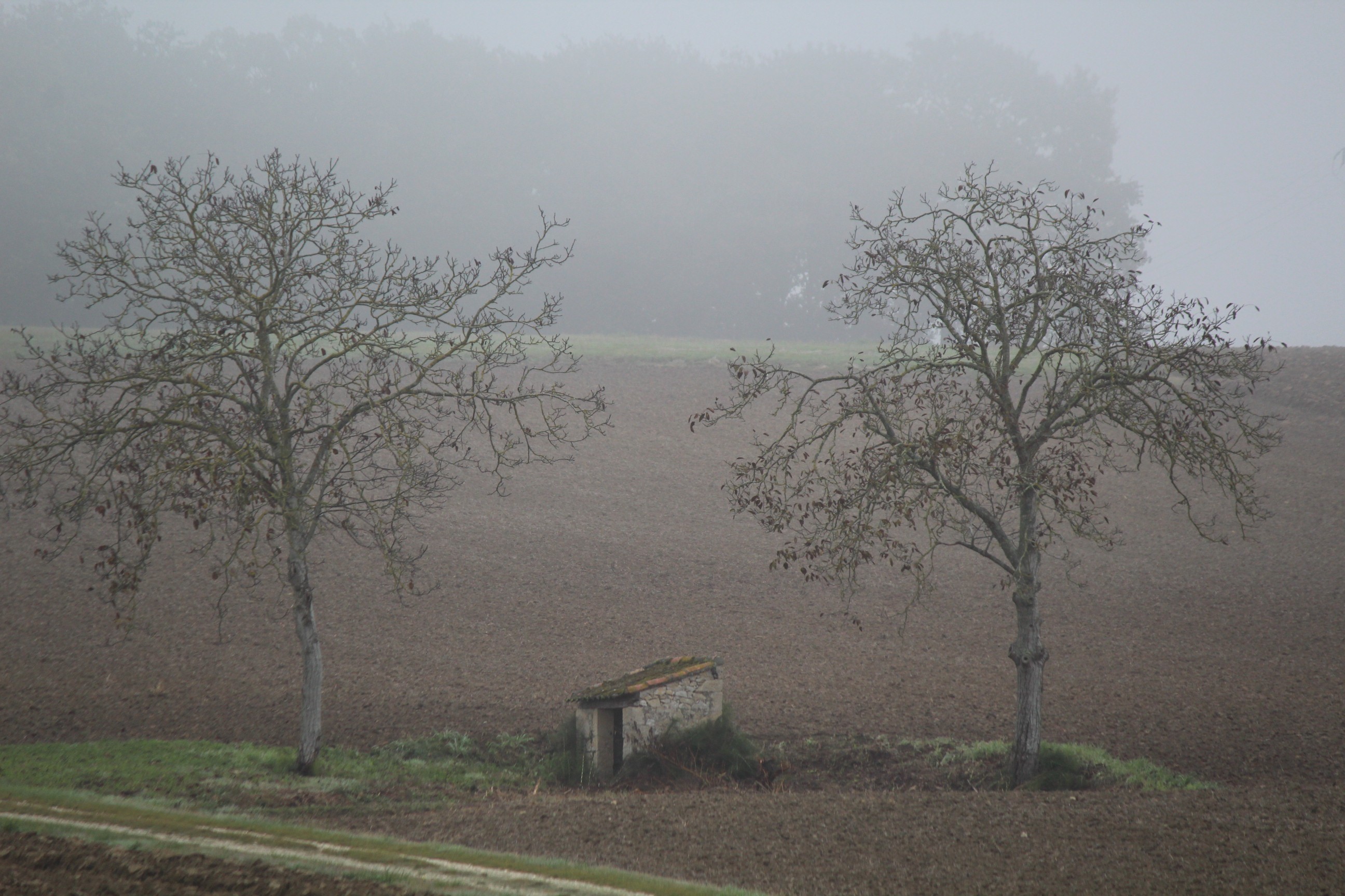 Castelnau d arbieu