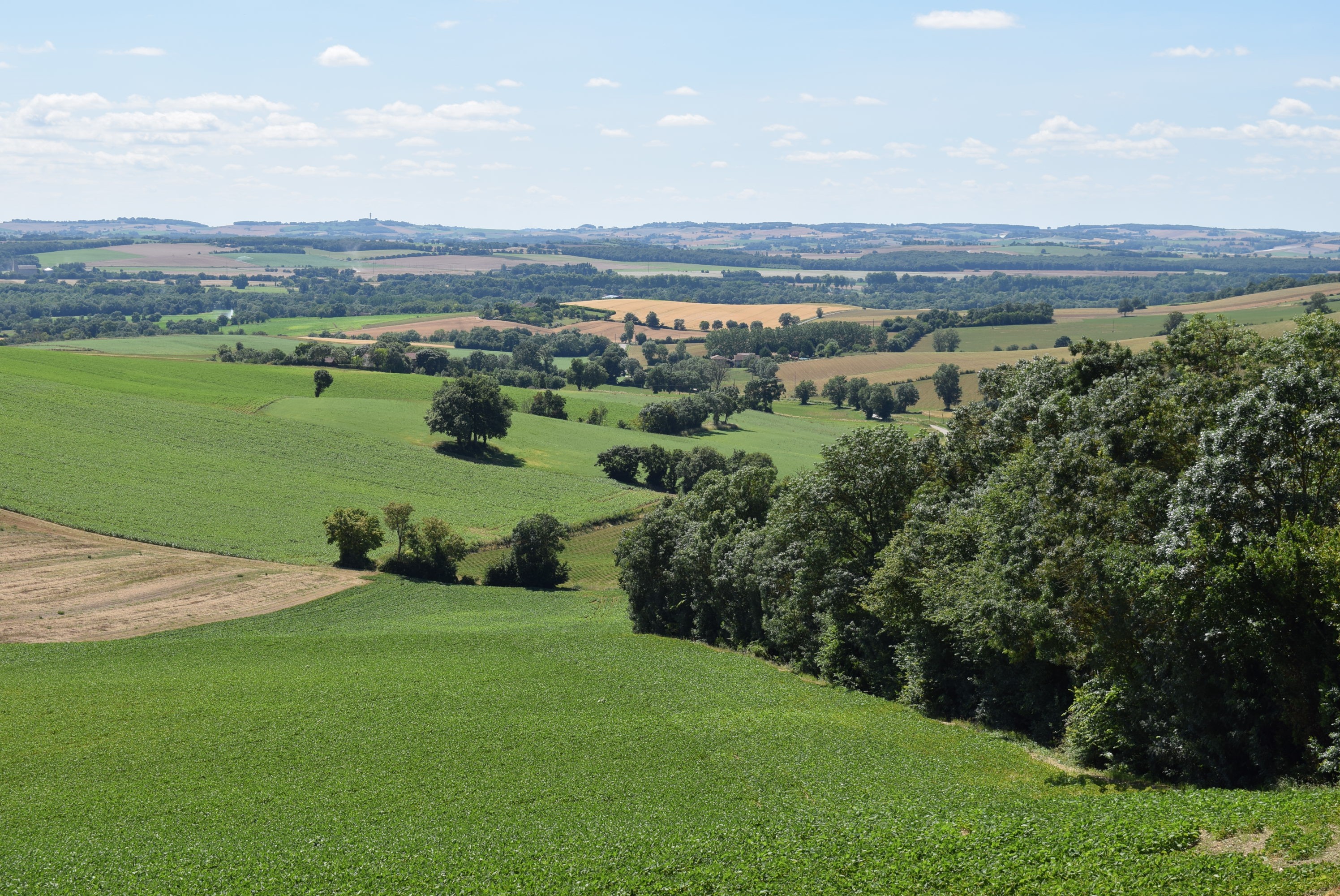 Castelnau d arbieu 30 