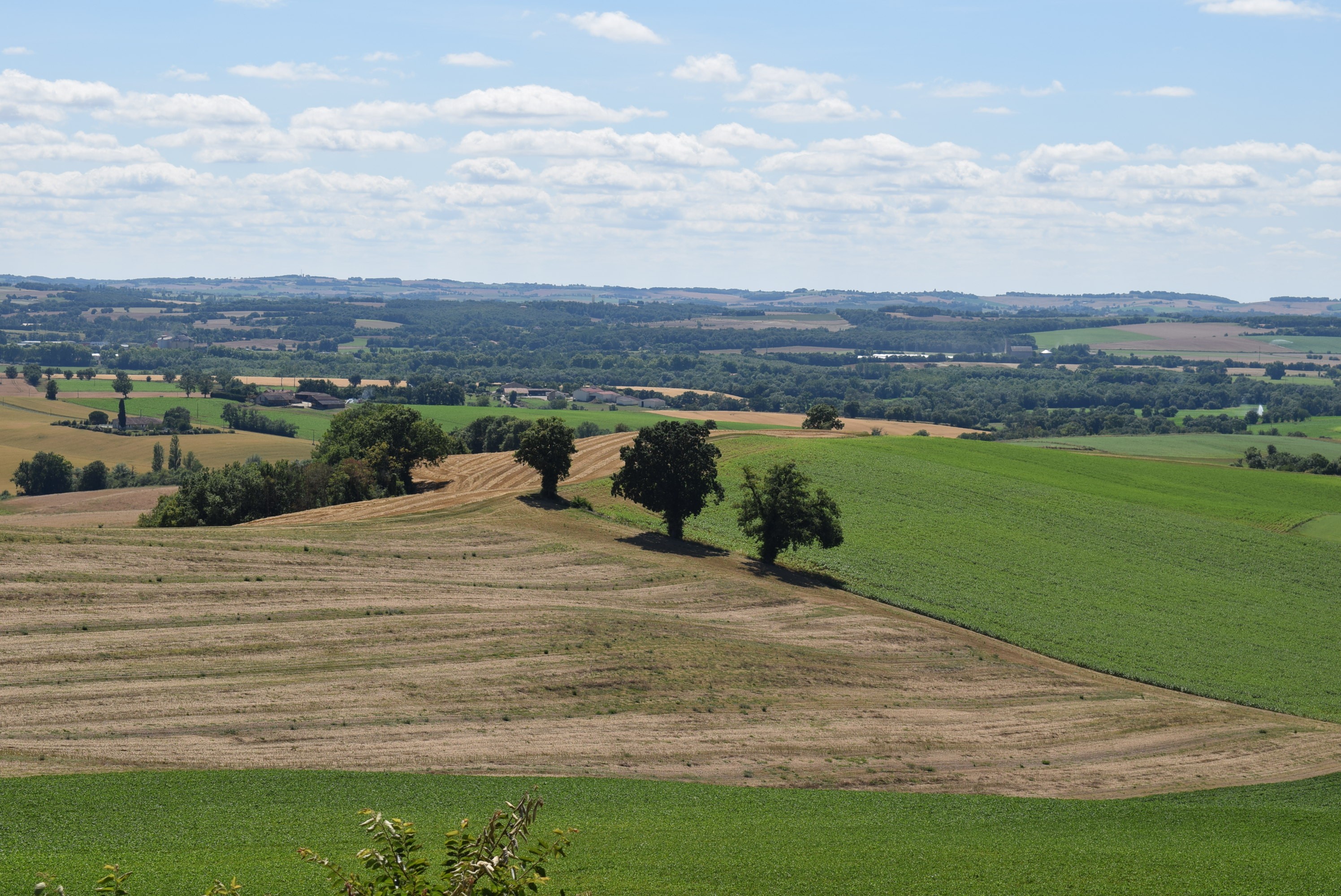 Castelnau d arbieu 31 