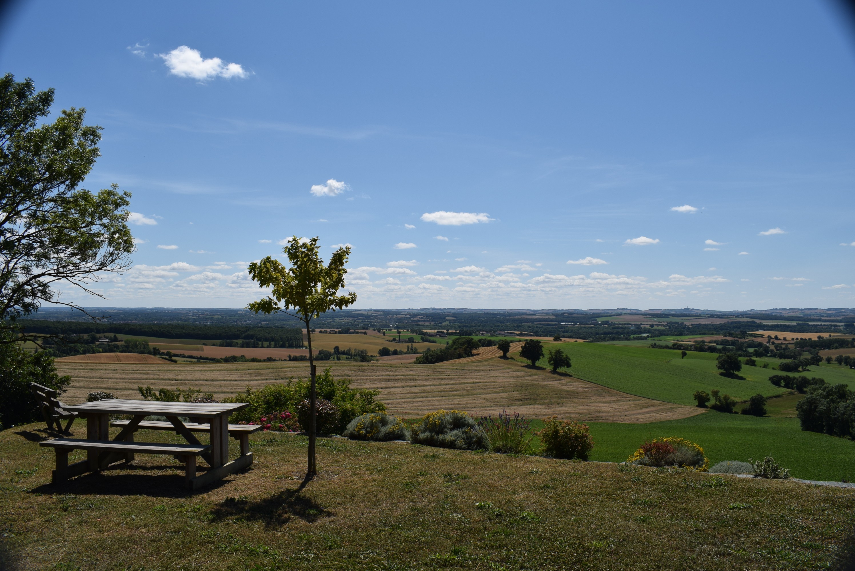 Castelnau d arbieu 36 