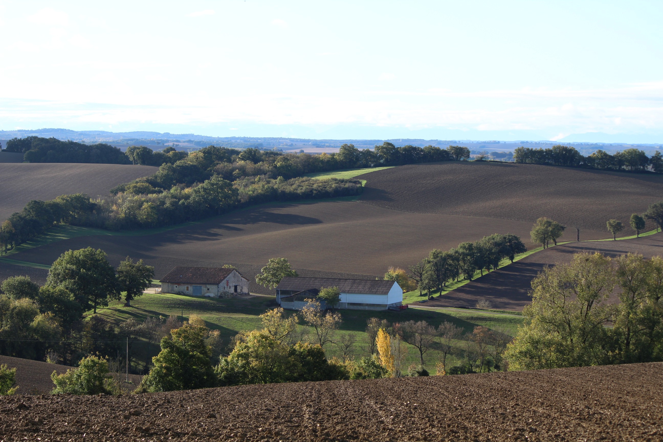 Castelnau d arbieu